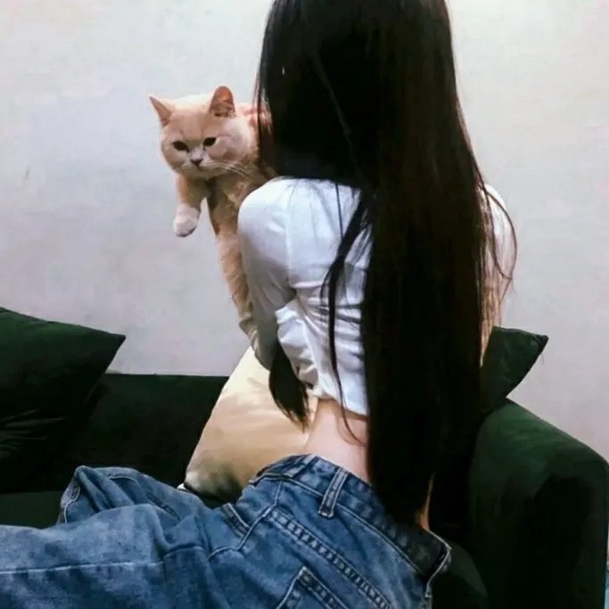 黑鸟